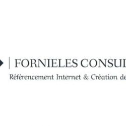 Fornieles Consulting