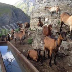 Fort Du Truc