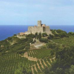 Fort Saint - Elme