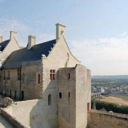 Forteresse Royale De Chinon