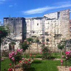 Forum Antique
