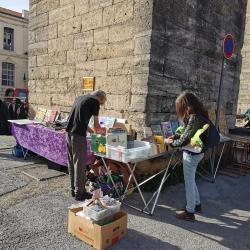 Forum Des Collectionneurs