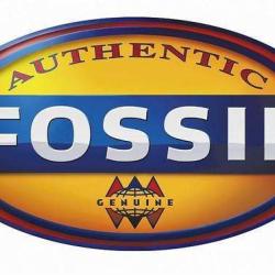Fossil