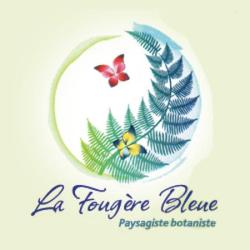 Fougère Bleue La