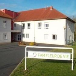 Foyer D'accueil Médicalisé "fleur De Vie" (groupe Sos - Solidarités)