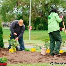 Francis Espaces Verts Jardins