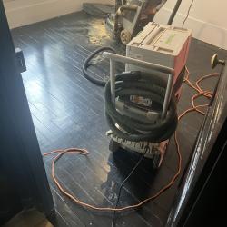 Poncage Parquet Vitrification Francois