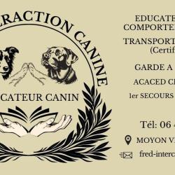 Fred Interaction Canine