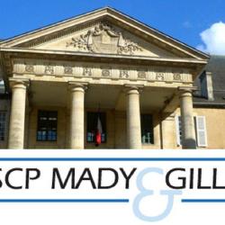 Selarl Frédéric Mady Nicolas Gillet Nicolas Briand