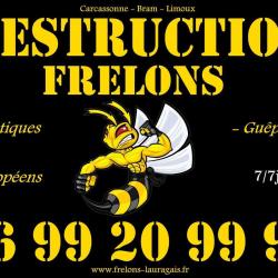 Frelons Du Lauragais