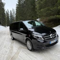 French Alpina Transfers