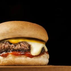 Fresh Burger