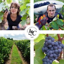 Earl Fresneau - Domaine De Cezin