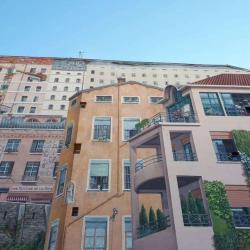 Fresque Des Canuts