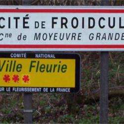 Froidcul