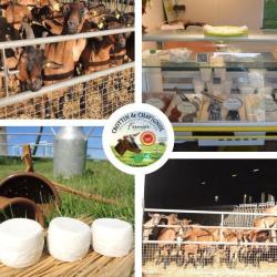 Fromagerie De Montriveau