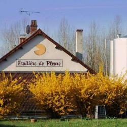 Fromagerie De Pleure
