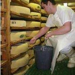 Fromagerie Des Rebelles