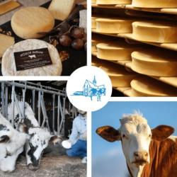 Fromagerie Moulin