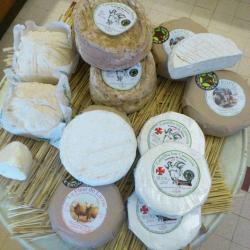 Fromagerie Saint Hélier