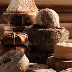 Fromagerie Tourrette
