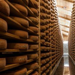Fromageries Vagne Site D'affinage