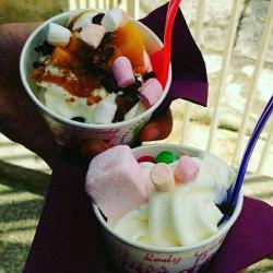 Frozen Yogurt Bar