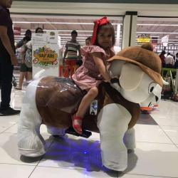 Fun And Ride