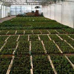 Gaec Horticole Dubois