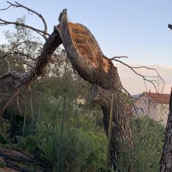 Gaëtan Borg