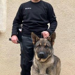 Gaillardie Securite