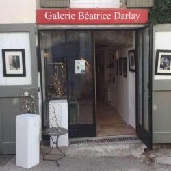 Galerie Béatrice Darlay