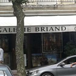 Galerie Briand