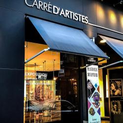 Galerie D'art Carré D'artistes Lyon L'expo