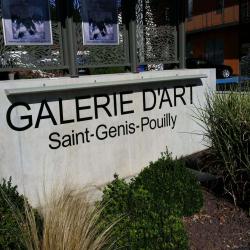 Galerie D'art De Saint Genis Pouilly