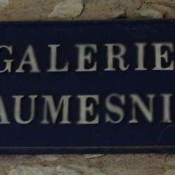 Galerie Daumesnil