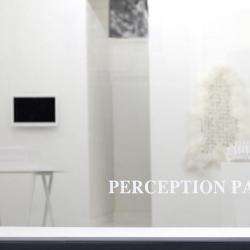 Galerie Perception Park