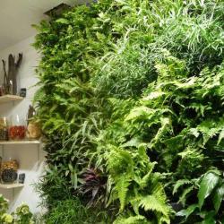 La Galerie Verte Jardins De Babylone