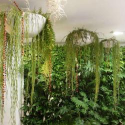 La Galerie Verte Jardins De Babylone