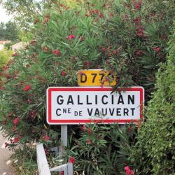 Gallician