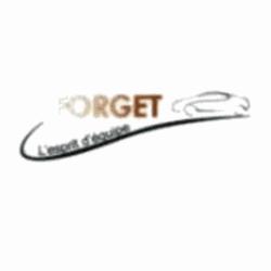 Ford Garage Forget
