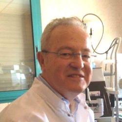 Garcia Francis