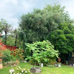 Garden Art Provence