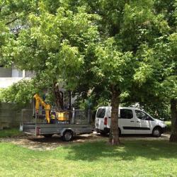 Garden Services