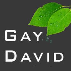 Gay David