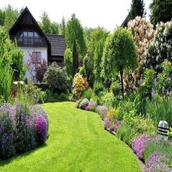 Gd Paysage