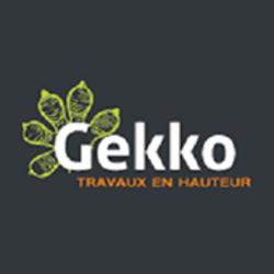 Gekko Travaux En Hauteur