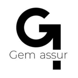 Gem Assur
