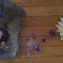 Gemmotherapy's