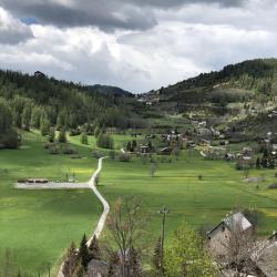 Genepi